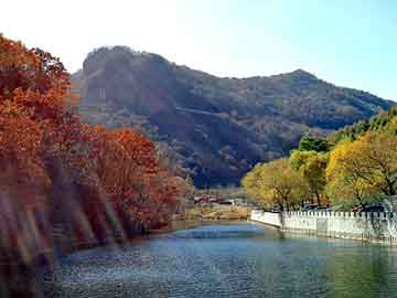 新澳天天开奖资料大全旅游团，灵山seo服务